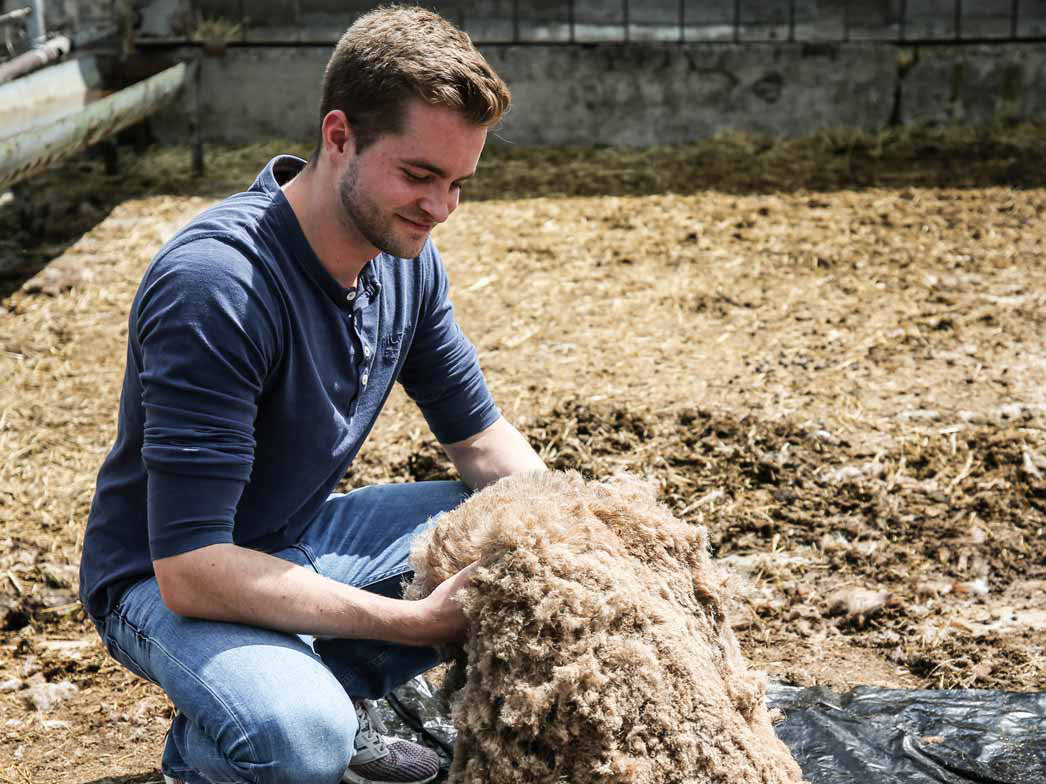 3 classic-zweifarbige-filz-einlegesohlen-grasgruen #farbe_grasgruen