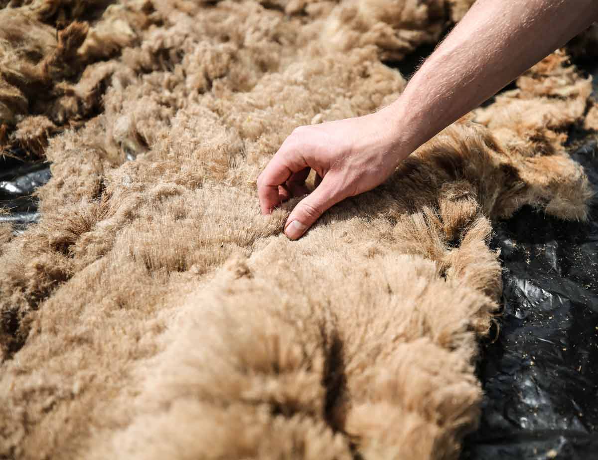 7 5mm-filz-einlegesohlen-grasgruen #farbe_grasgruen