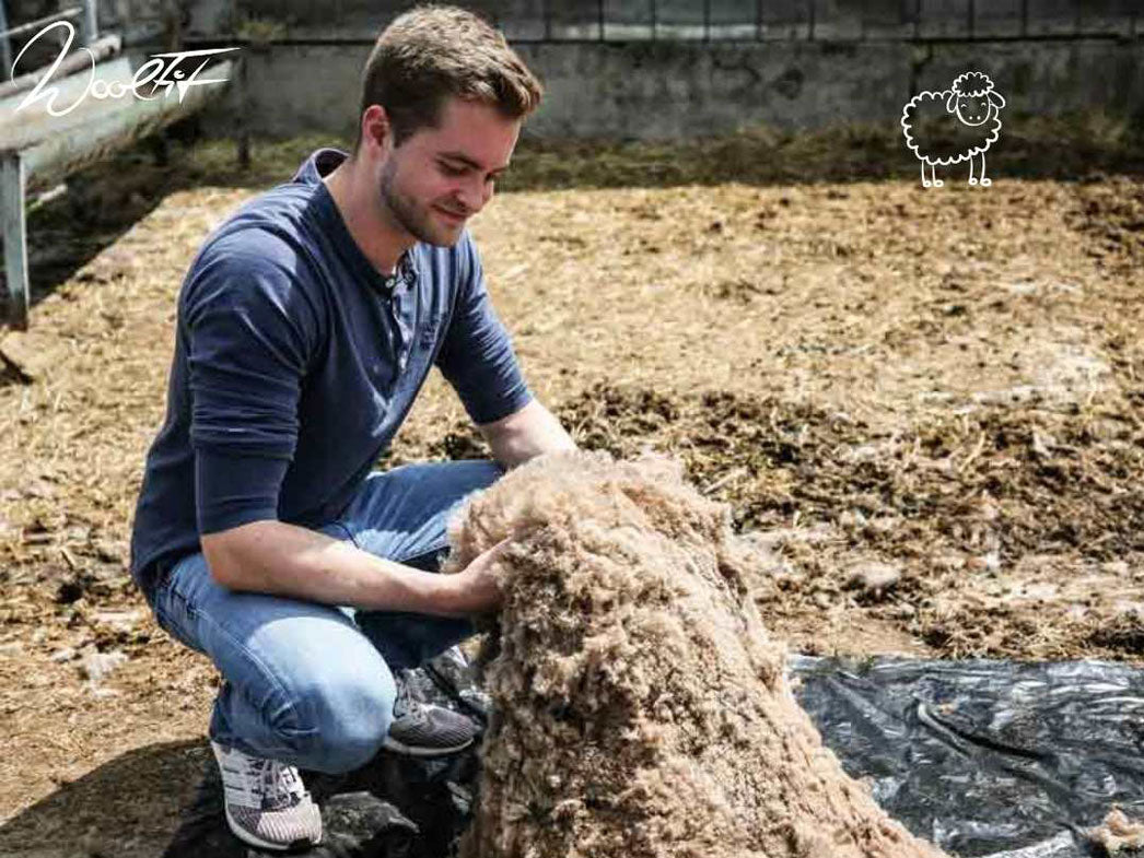 hinten 5mm-filz-einlegesohlen-beige #farbe_beige