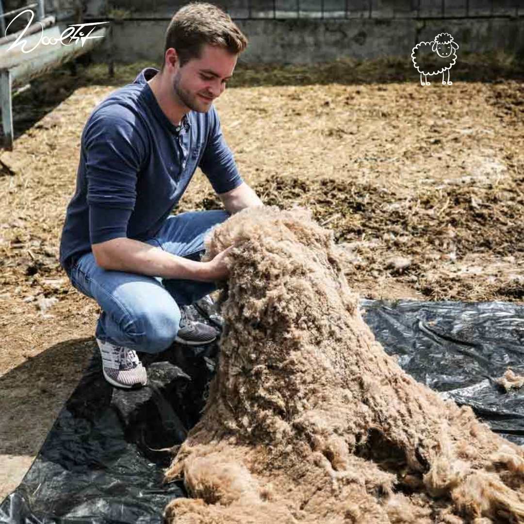 3 classic-zweifarbige-filz-einlegesohlen-rot_orange #farbe_rot_orange